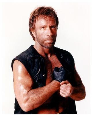 /dateien/mg54014,1242327521,chucknorris