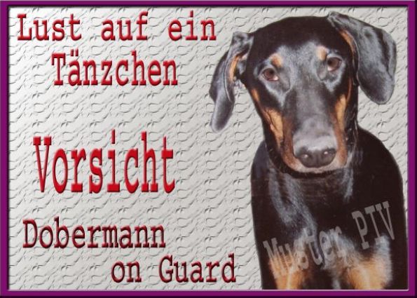 /dateien/mg60972,1268339503,dobermann06