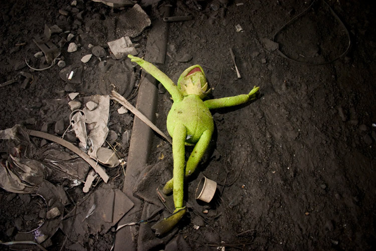 /dateien/mg61087,1268121994,kermit-the-frog