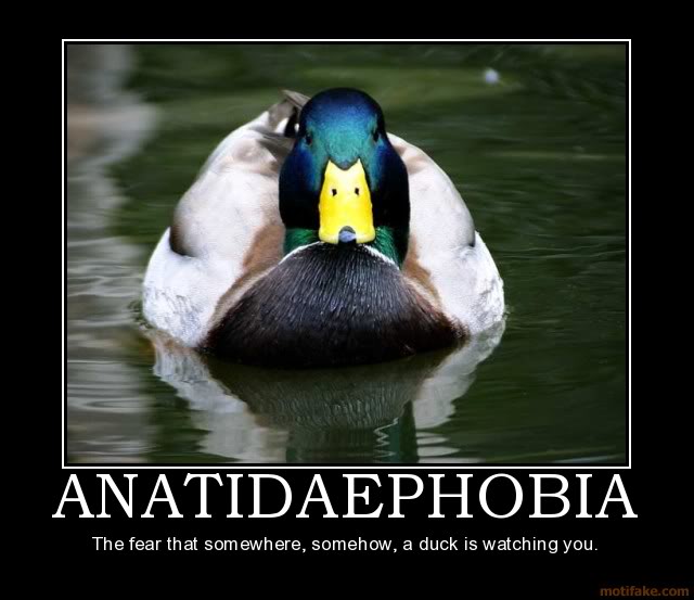 /dateien/mg62574,1274769172,anatidaephobia