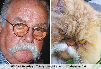 /dateien/mg64806,1281346007,6wilford-brimley