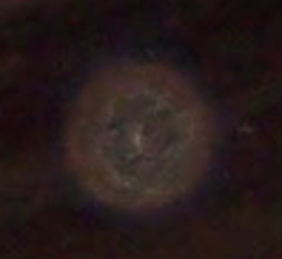 /dateien/mt13490,1263231613,orb closeup