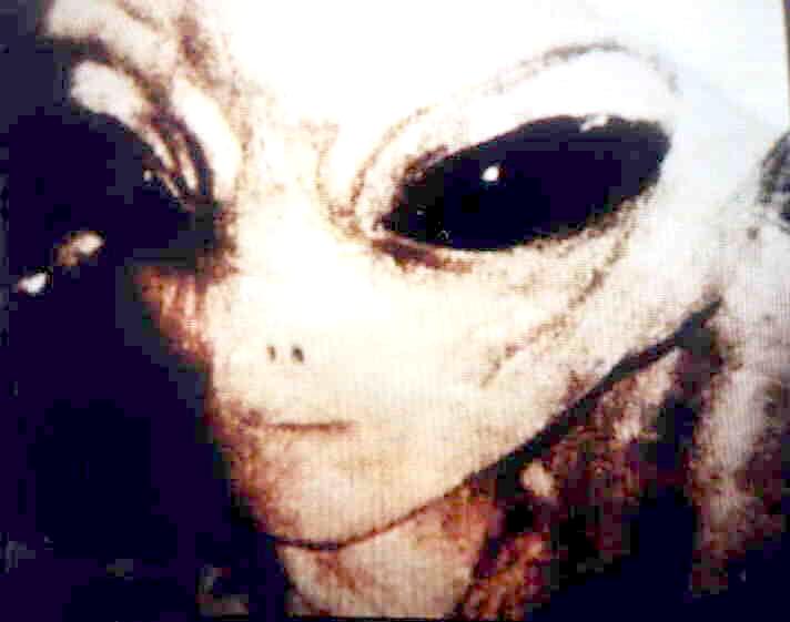 /dateien/mt18021,1256582139,gray alien 50yrs of denial photo1