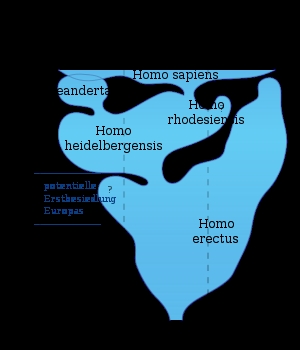 /dateien/mt2402,1254137269,300px-mensch stammbaum5zh0