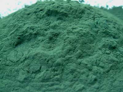 /dateien/mt2402,1267621493,spirulina