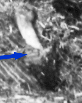 /dateien/mt31345,1207681145,detail