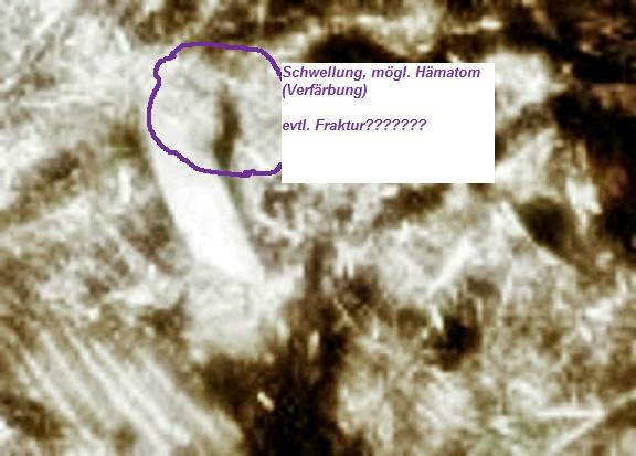 /dateien/mt31345,1288042153,92782m6tycj234EQG