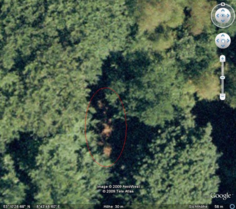 /dateien/mt32781,1260619028,Google Earth2