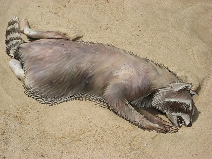 /dateien/mt54538,1279707204,montauk monster