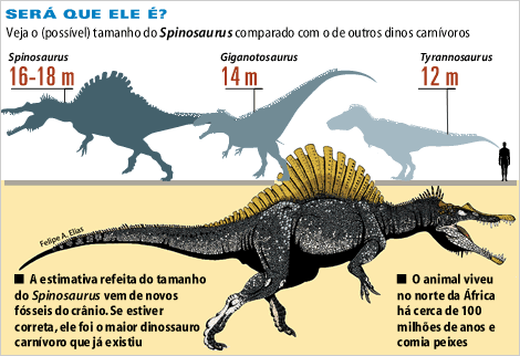 /dateien/mt56393,1252443761,20060301-spinosaurus