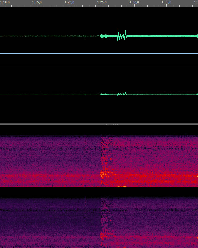 /dateien/np60244,1281023422,evp02 spektrum