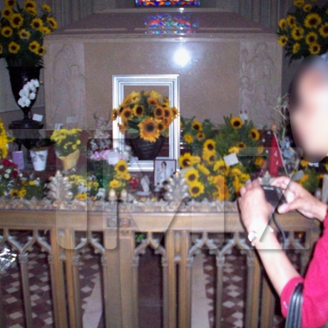 /dateien/np62551,1274513284,michael jackson tomb sunflower 09 full