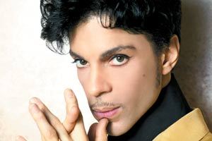 /dateien/np62551,1276194702,Prince medium