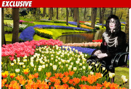 /dateien/np62551,1279957722,0723-micahel-jackson-garden-getty-ex