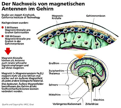 /dateien/np63201,1280159685,uf587151263601406magnetfeld im kopf