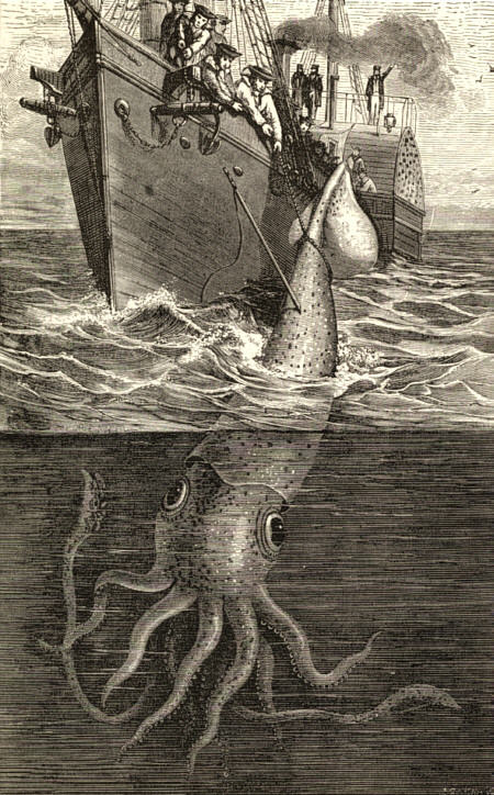 /dateien/np65286,1286732785,giant squid