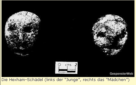 /dateien/np65286,1287225754,hexamsteine