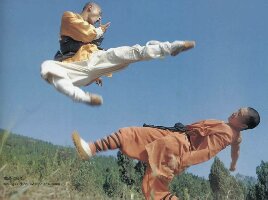 /dateien/pr14265,1118003681,kungfu6a