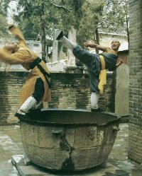 /dateien/pr14265,1118003681,kungfu7b