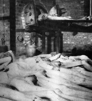 /dateien/pr20131,1135102319,cadavres mauthausen