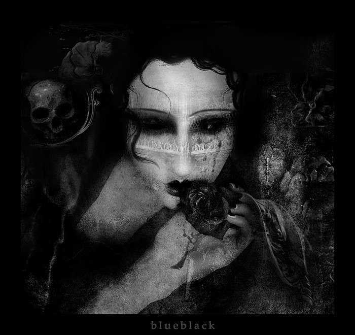 /dateien/pr24749,1145583221,the lost Rose by BlueBlack