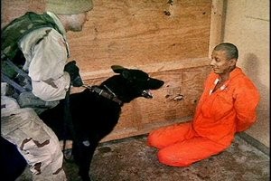 /dateien/pr35038,1173986586,medium 300px-guantanamo-dog