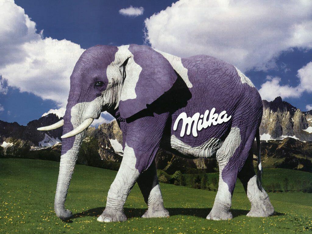 /dateien/pr44720,1212609261,milka