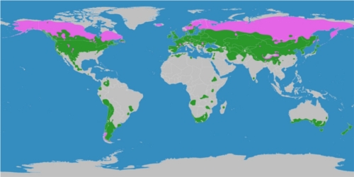 /dateien/pr49311,1235165088,klimaig7