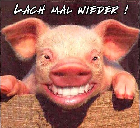 /dateien/pr57674,1258411955,schwein-lachend