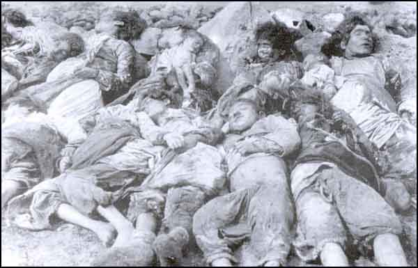 /dateien/pr58671,1290727606,armenian genocide 2