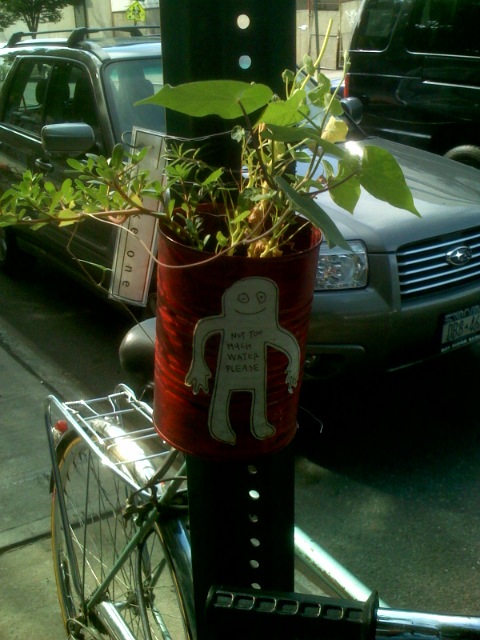 /dateien/pr59071,1272658124,guerilla-gardening