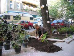 /dateien/pr59071,1272658124,index.phprex resize240w  guerillagardening