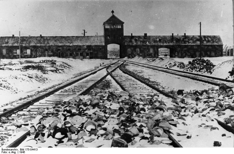 /dateien/pr64673,1284166496,Auschwitz