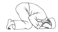 /dateien/rs31249,1264614525,sajda