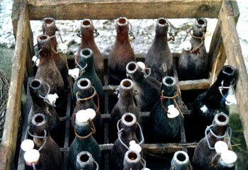 /dateien/rs61985,1272902514,191Bier