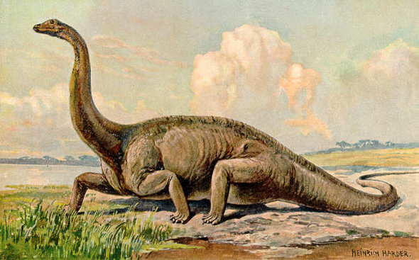 /dateien/tp68060,1290540047,Diplodocus Heinrich Harder