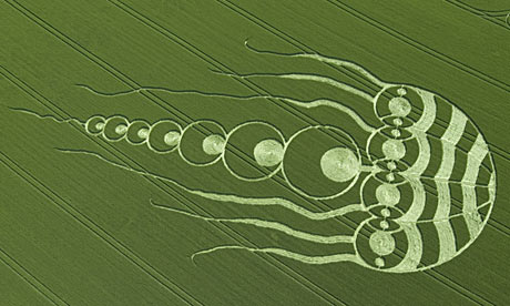 /dateien/uf28955,1247049633,Jellyfish-crop-circle-001