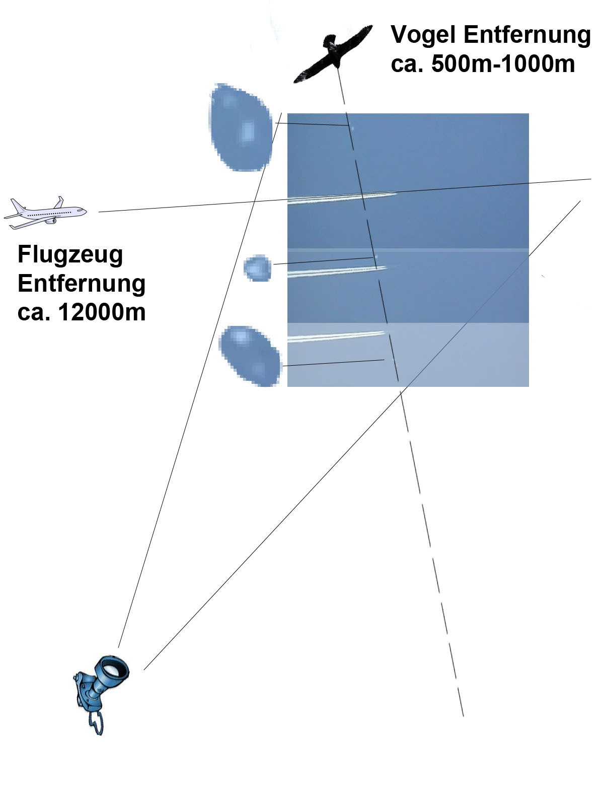 /dateien/uf28955,1269341152,vogelufo