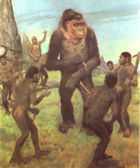 /dateien/uf35466770,1259760548,gigantopithecus