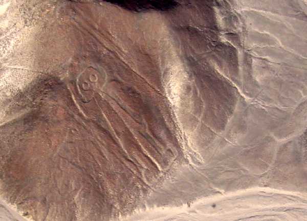 /dateien/uf38049,1185167017,nasca Astronaut