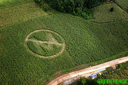/dateien/uf5772,1250120023,aerial-view-of-a-crop-circle-m
