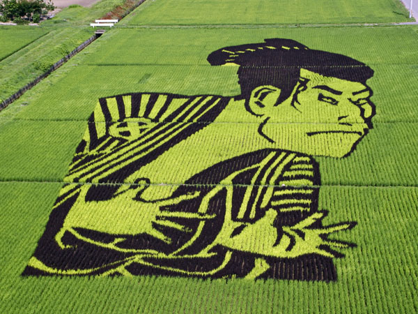 /dateien/uf5772,1275035264,art-paddy-field-drawing-japan-pjlighthouse-04