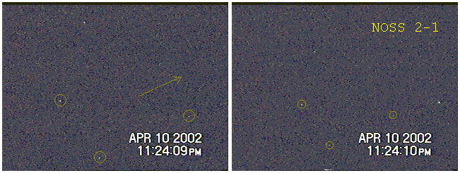 uf58085,1258712407,noss2-1.GIF