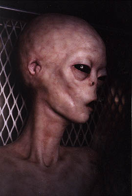 /dateien/uf59302,1262632617,aliens real alien pic