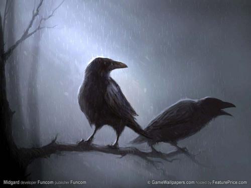 /dateien/uh28902,1173986322,crows