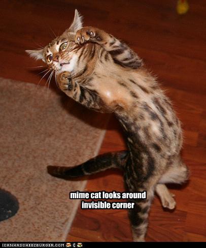 /dateien/uh34264,1272050649,funny-pictures-cat-is-mime