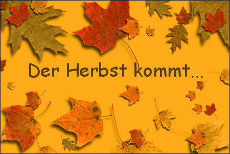 /dateien/uh42452,1254220584,herbst