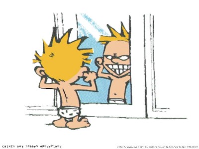 uh43048,1249507889,calvin&hobbes-mirror(small).jpg