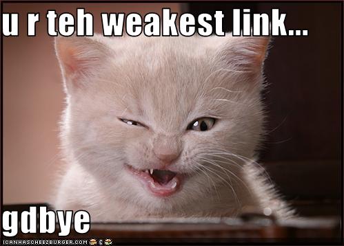 Bilder-Thread uh43048,1250670026,funny-pictures-kitten-calls-you-weakest-link