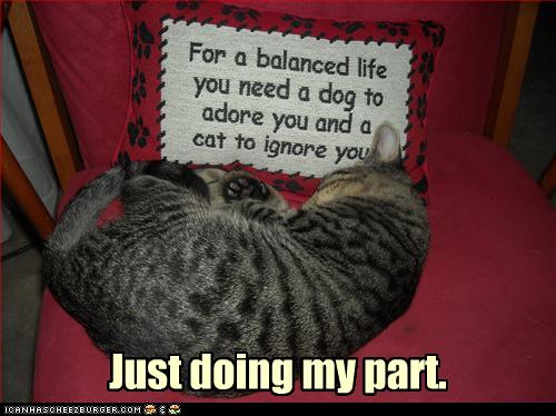 Bilder-Thread uh43048,1252512413,funny-pictures-cat-dutifully-ignores-you